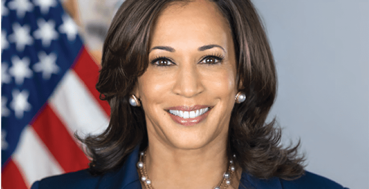 Kamala Harris Delivers Forceful Speech at DNC, Targeting Trump and Highlighting Patriotism