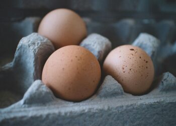 Eggs Recalled Amid Multistate Salmonella Outbreak