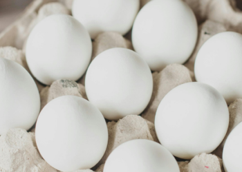 FDA Expands Egg Recall Due to Salmonella Risks, Urges Caution