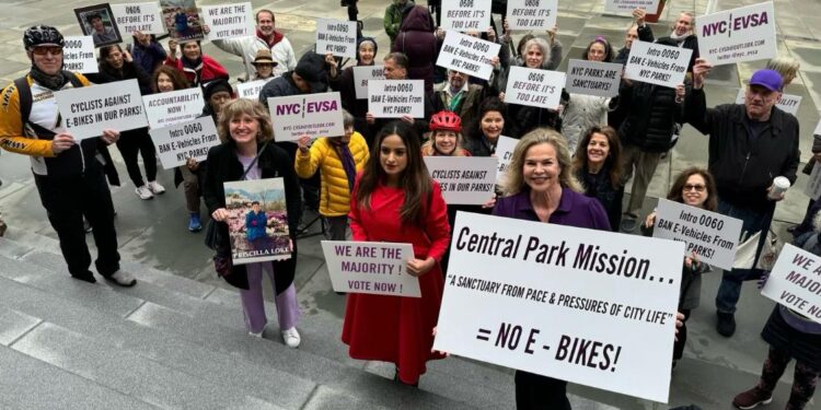 Exclusive Interview with NYC EVSA Co-Founder Janet Schroeder on the Fight for Safer Streets