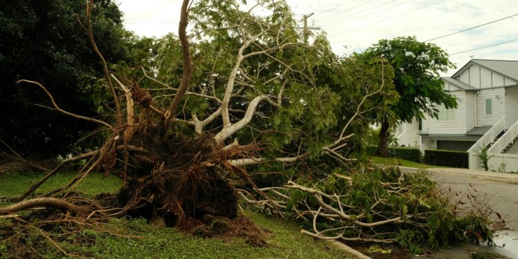Storm Knocks Out Power to 21,000 and Disrupts Travel Across NYC and New Jersey
